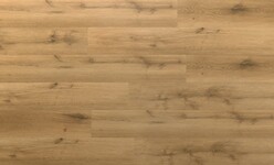 EMESTY EM 501 IB Bruggy